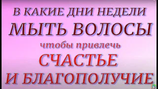 В какие дни недели мыть волосы, чтобы привлечь счастье и благополучие