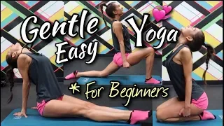 Gentle Easy Yoga For Beginners