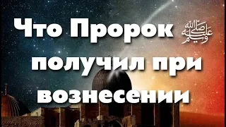 Любимец Всевышнего 35 часть.  Неустрашимый Пророк (ﷺ)