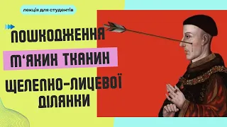 IV.1 - Пошкодження м'яких тканин ЩЛД. Вогнепальна рана. Термічні, хімічні ураження