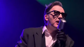 The Damned - Plan 9 Channel 7 (live in Boston 5/29/24)