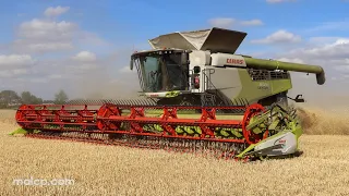 Harvest 2022: Claas Lexion 8900 TT cutting barley in Suffolk