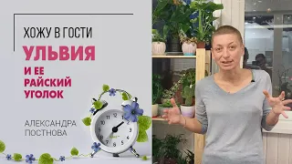 Когда тебя пригласили в гости, а ты сразу по цветам идешь)) Я в гостях и покажу вам зеленую красоту.