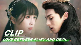 Dongfang Qingcang Saves Orchid By Hurting Her | Love Between Fairy and Devil EP30 | 苍兰诀 | iQIYI