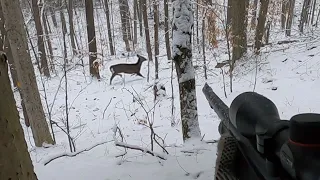 Big Woods Muzzleloader Hunting | Vermont