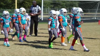 8U MAC DOLPHINS vs Mint Hill Chargers