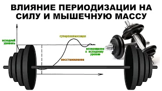 лекция: ВЛИЯНИЕ ПЕРИОДИЗАЦИИ НА СИЛУ И МЫШЕЧНУЮ МАССУ