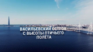 Васильевский остров и остров Декабристов с высоты птичьего полёта