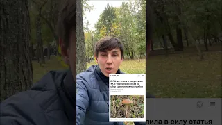 Уголовный срок за сбор редких грибов 🤷‍♂️ #новости #закон #грибы