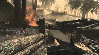 Call of Duty World At War on Intel HD 4000