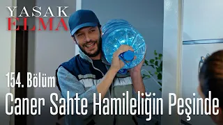 Caner sahte hamileliğin peşinde - Yasak Elma 154. Bölüm