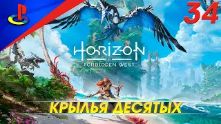 Horizon Forbidden West / Запретный запад / прохождение / PS5 / 34 часть / Крылья десятых