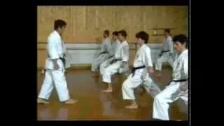 SKIF Karate Seminar Bregenz 1985 Kanazawa Hirokazu