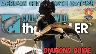 African Sharptooth Catfish Diamond Guide -the Angler