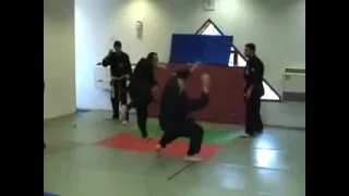 Koga Ryu Ninjitsu