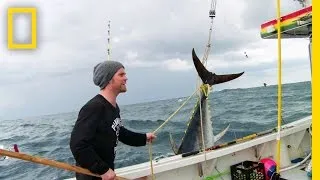 Bluefin Adrenaline | Wicked Tuna: Outer Banks