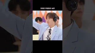 [세븐틴/승관] 귀여움 뚝뚝 세븐틴 막내라인 승관