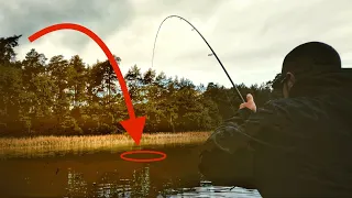 Mega Überraschung am geheimen Waldsee!