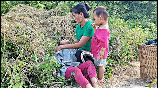 Harvest eggplants and soybeans to sell at the market, save an abandoned girl on the street