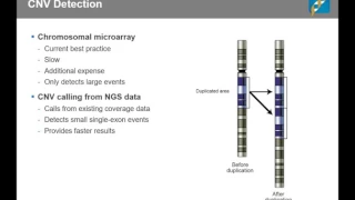 CNV Analysis