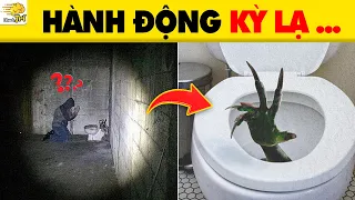 Skibidi Toilet Quá Bất Ổn & 13 Bí Ẩn Về Nhà Vệ Sinh Có Thể Khiến Bạn 100% Chú Ý  | Nhanh Trí