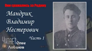 Мандрик Владимир Нестерович. Часть 1.  Они сражались за Родину. Проект Дмитрия Куринного.