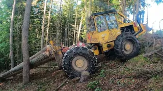 LKT 81 Turbo - Ťažba dreva po daždi v kopcoch. Stihl ms 500i pokračujeme v ťažbe kôrovca 💪