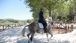 Inauguração do Centro Equestre | AltominhoTV