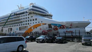 Norwegian Pearl July 2023 Bermuda & Maine Cruise