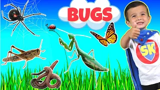 Bug Hunt Outdoor Adventure | Cool Bug Facts | Bug Song | Insects | Toddler Learning | Pretend Play