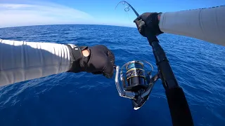 Topwater Bluefin tuna casting.