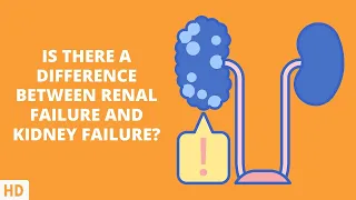 Renal Failure or Kidney Failure: Know the Difference