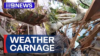 Tree crashes into home during wild wet weather in Sydney | 9 News Australia