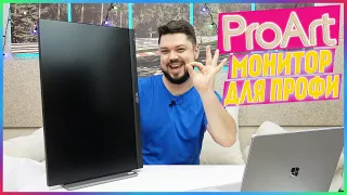 Купил профессиональный монитор Asus ProArt PA248QV есть ли смысл?