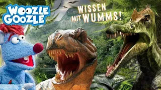 ALLES über DINOS l WOOZLE GOOZLE