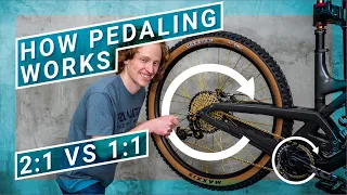 How gear ratios let you climb steep hills and bomb down trails: Mountain Bike Drivetrain 101