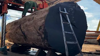 Wood Cutting Skills//Ironwood Trees Have Super Beautiful Grain