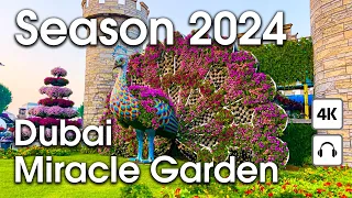 Dubai 🇦🇪 Amazing Miracle Garden, New Season 2024 [ 4K ] Walking Tour