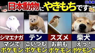 【ゆっくり解説】海外が夢中！日本にしかいない可愛すぎる動物7選【総集編】