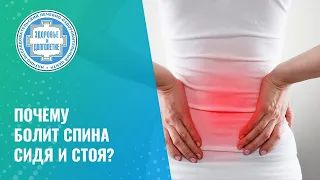 😕 Почему болит спина сидя и стоя?