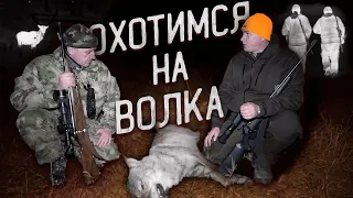 ОХОТА НА ВОЛКА НА ВАБУ | Выстрел по волку с Yukon Nordforce