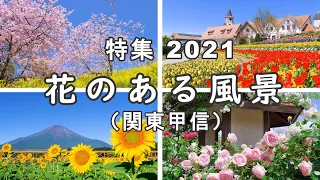 2021年 [特集] 花のある風景（関東甲信） [4K] Scenery with flowers 2021