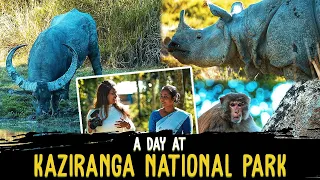 Kaziranga National Park - Episode 1 | One Horn Rihno | Jungle Safari | Assam | Rohan Travel Stories