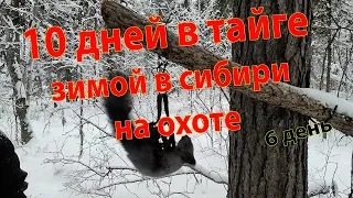 10 дней в тайге зимой на охоте в Сибири 6 день