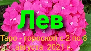 Лев Таро - гороскоп с 2 по 8 августа  2021 г.