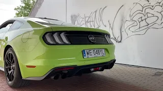 2020 Ford Mustang GT 5.0 V8 450KM A10 | Revs & Launch Control