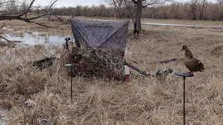 Утрянка с Тульской подсадной и досадные промахи🤨😃✌️