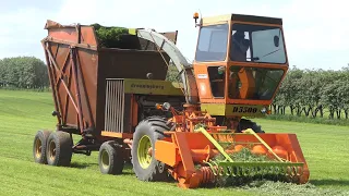 Dronningborg D5500 Forage Harvester on duty in the field Chopping Silage | DK Agriculture