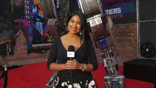 "Transformers Rise of the Beasts" Red carpet