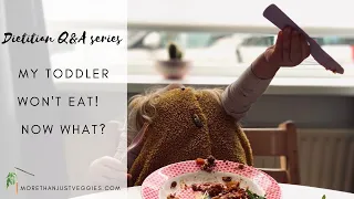 MY TODDLER WON'T EAT ● A dietitian's tips on what you can do about it!